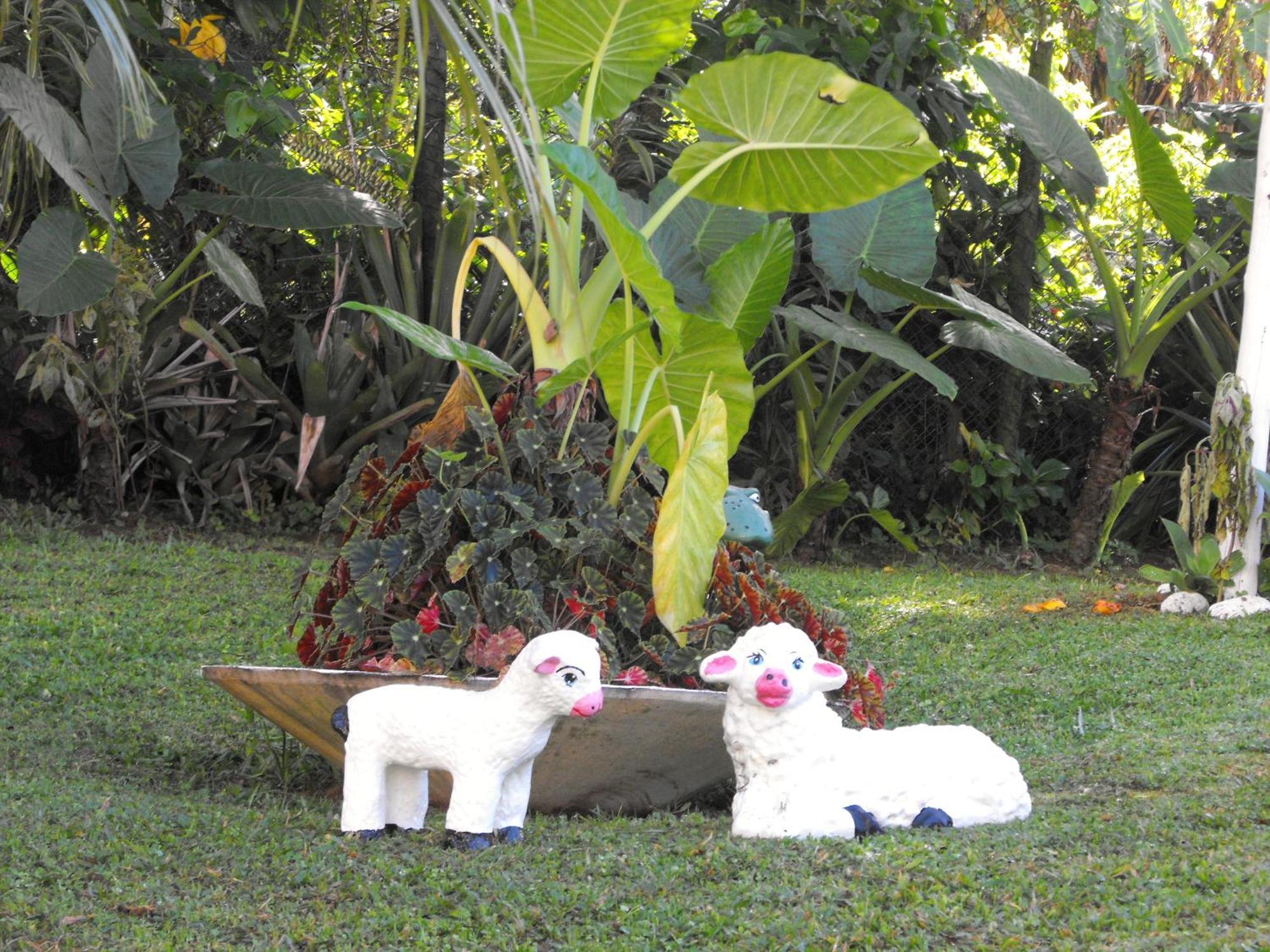 Pousada Cascata Dos Amores เตเรซอโปลิส ภายนอก รูปภาพ