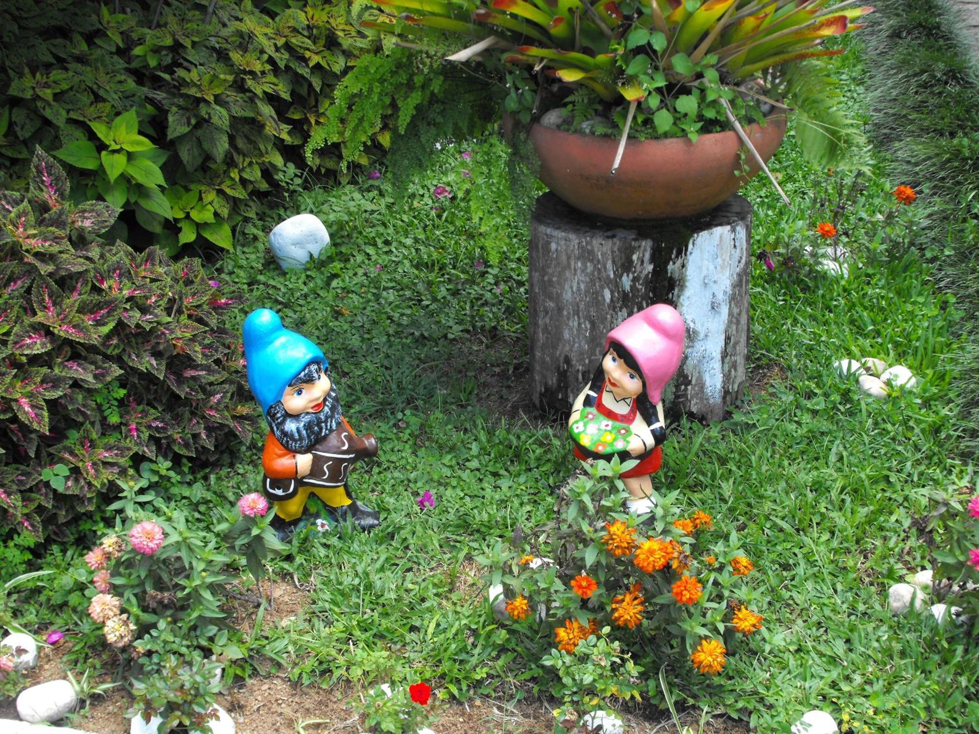 Pousada Cascata Dos Amores เตเรซอโปลิส ภายนอก รูปภาพ